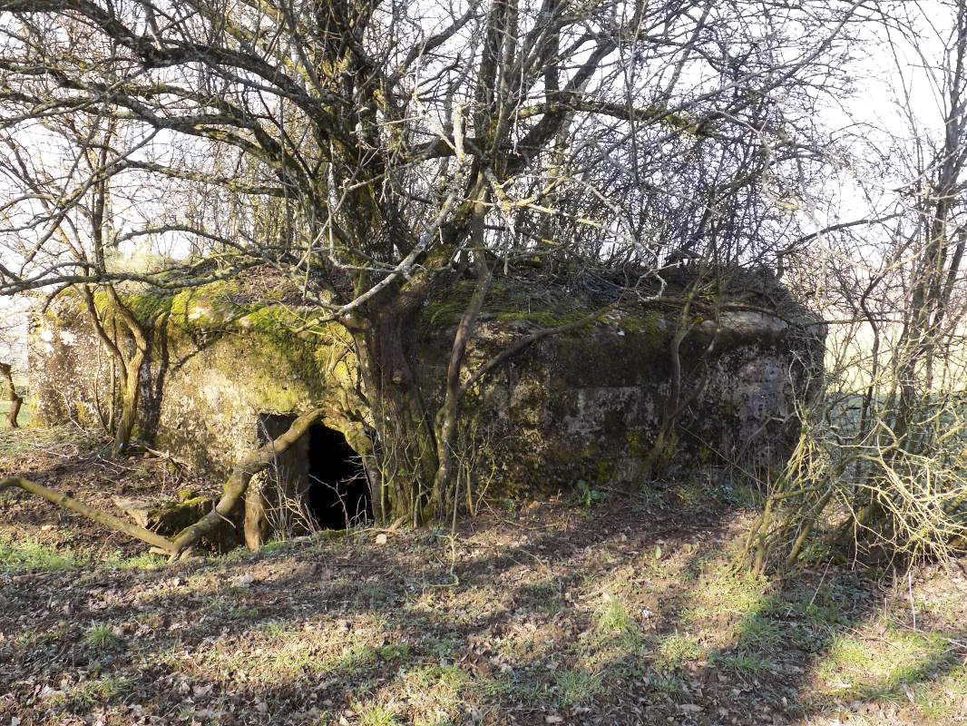 Ligne Maginot - 11A - LA BOULETTE - (Blockhaus pour canon) - L’arrière / face sud-est