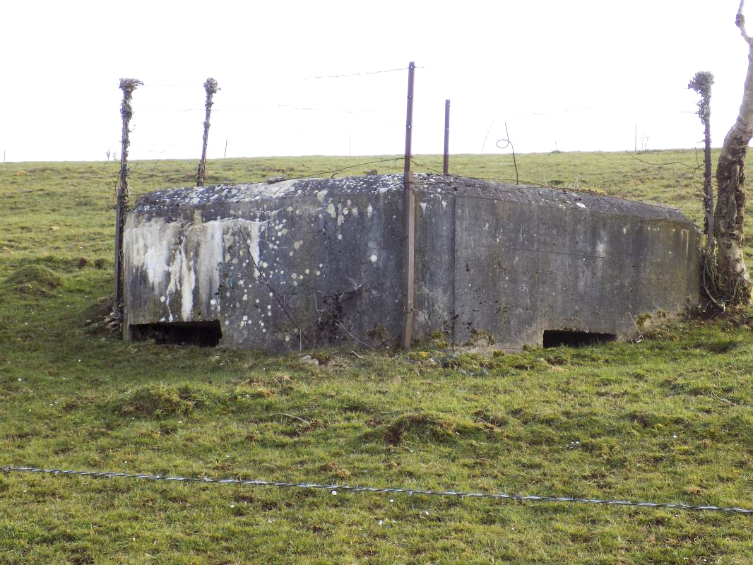 Ligne Maginot - 11B - FERME LA FOLIE - (Blockhaus pour arme infanterie) - 