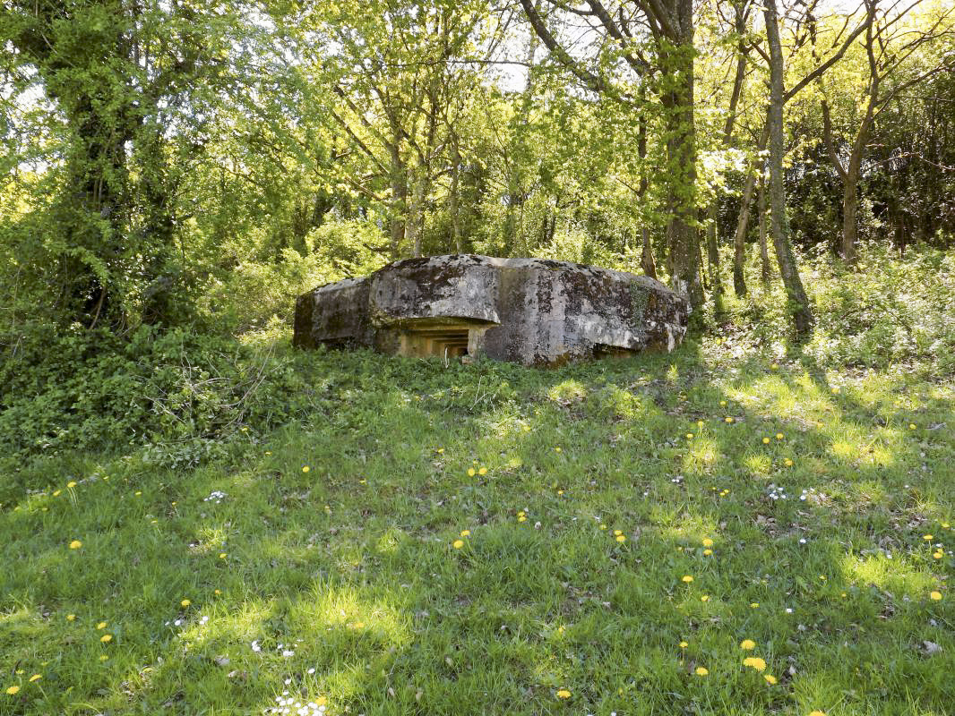 Ligne Maginot - 11C - VALMONT - (Blockhaus pour arme infanterie) - Pris du nord-est