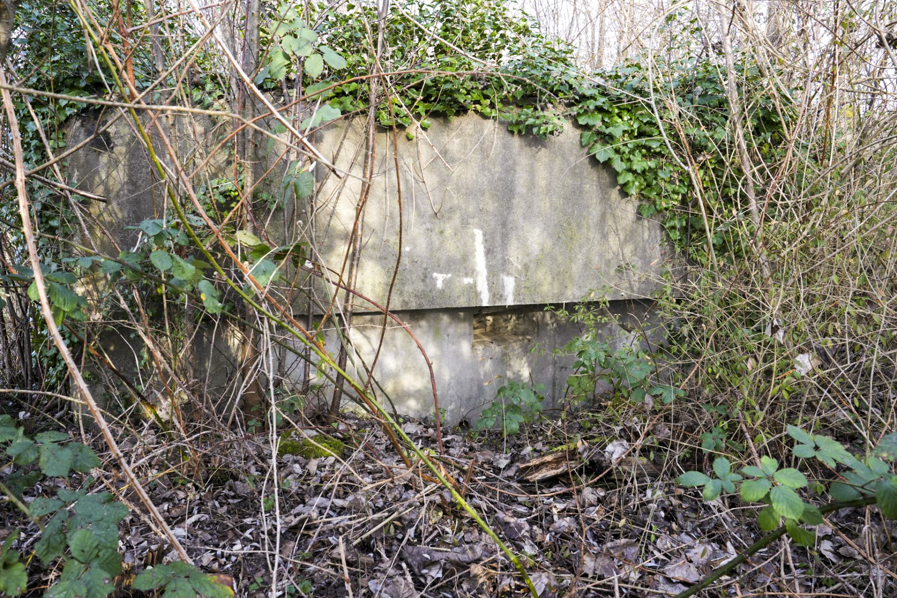 Ligne Maginot - 5 - SALMENKOPFGRUND - (Blockhaus pour arme infanterie) - Le second créneau