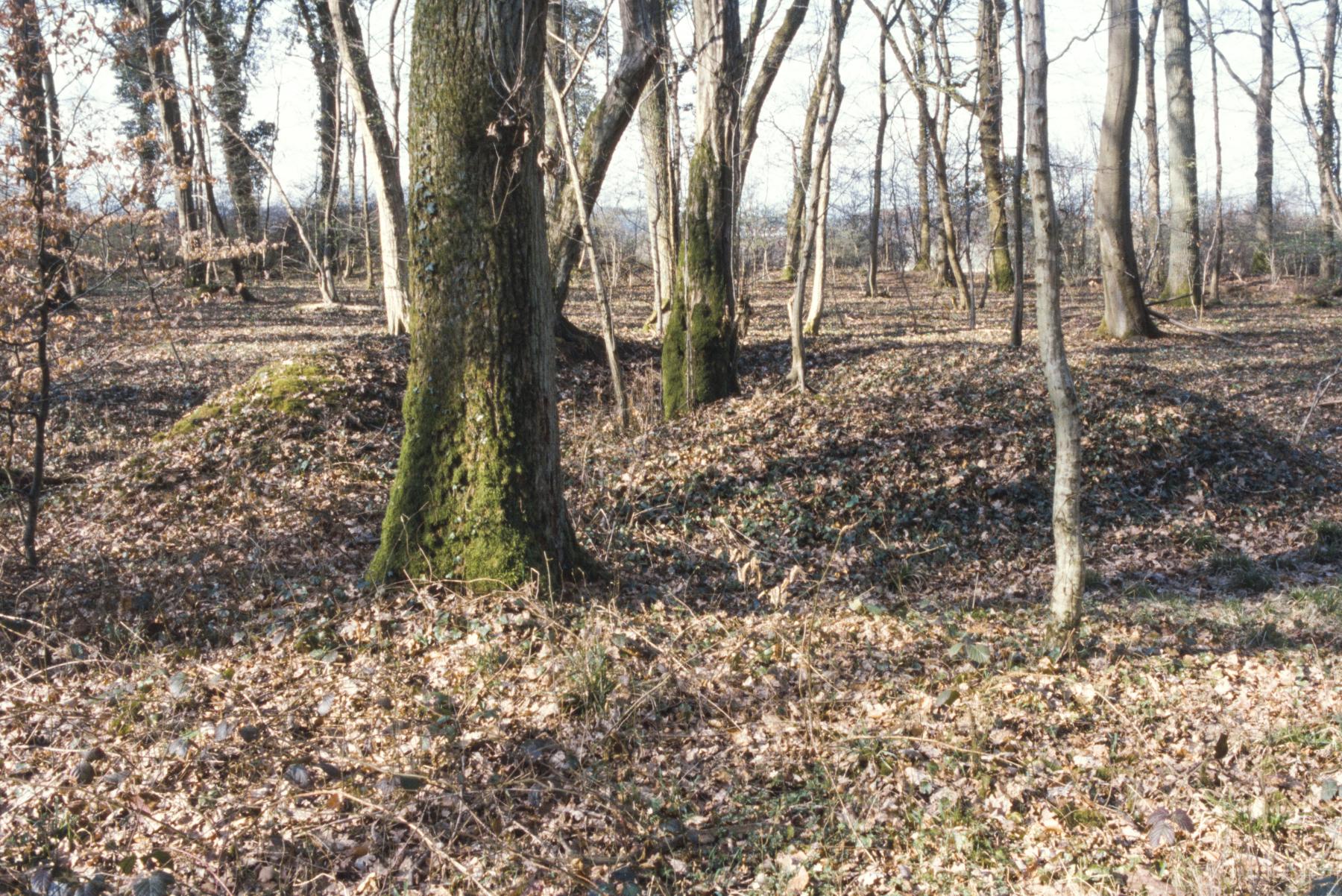 Ligne Maginot - UBERNIED - (Abri) - Environnement
Creusement du terrain
Il est possible qu'il s'agit d'une cuve pour mortier de 81 du 3° groupe de 81mm Pechelet