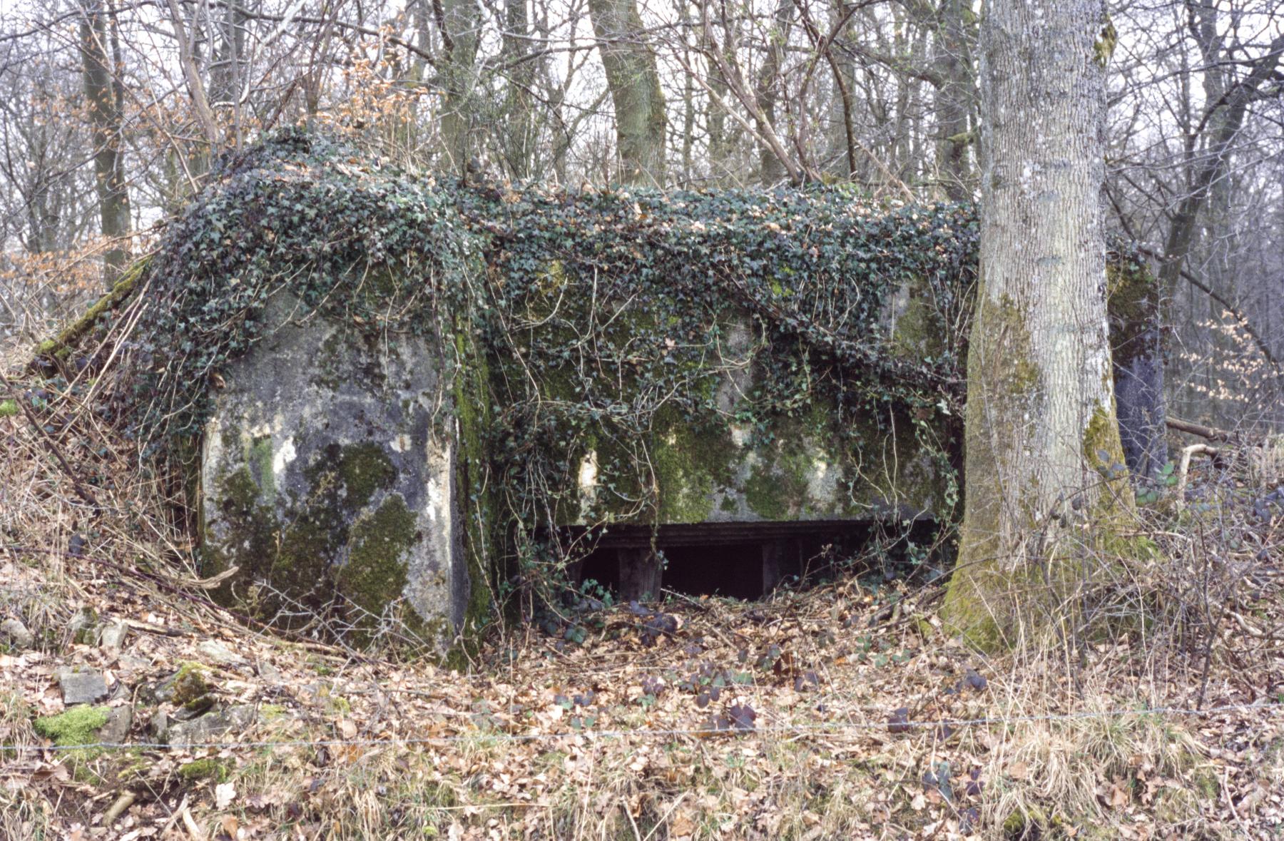 Ligne Maginot - UBERNIED 8 - (Blockhaus pour canon) - 