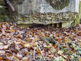 Ligne Maginot - 13A - BOIS DE BLANCHAMPAGNE EST - (Blockhaus pour arme infanterie) - Face droite, créneau Hotchkiss