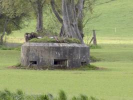 Ligne Maginot - 15C - FOND D'YVAUX EST - (Blockhaus pour arme infanterie) - Pris du nord-est