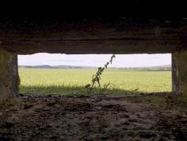 Ligne Maginot - 15C - FOND D'YVAUX EST - (Blockhaus pour arme infanterie) - Vue du créneau Hotchkiss gauche