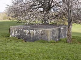 Ligne Maginot - VAUX LèS MOUZON NORD - (Blockhaus pour canon) - L'arrière et face droite