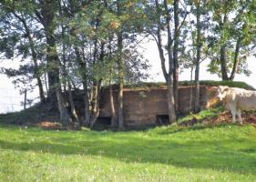 Ligne Maginot - 77 - LES LONGUES ROYES - (Blockhaus pour arme infanterie) - 