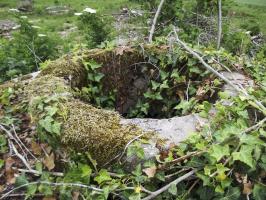 Ligne Maginot - BOIS LE SART - (Casernement) - Dessus de la citerne d'eau (à environ 3 mètres de hauteur) 