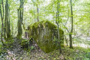 Ligne Maginot - SCHEIDWALD 2 - (Blockhaus pour arme infanterie) -          