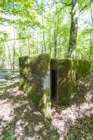 Ligne Maginot - SCHEIDWALD 3 - (Blockhaus pour arme infanterie) -                            