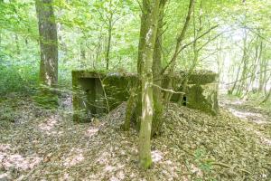 Ligne Maginot - SCHEIDWALD 5 - (Blockhaus pour arme infanterie) -              