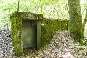 Ligne Maginot - SCHEIDWALD 5 - (Blockhaus pour arme infanterie) -               