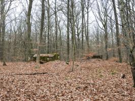 Ligne Maginot - SCHEIDWALD 6 - (Blockhaus pour arme infanterie) - Les blockhaus 6 et 7.