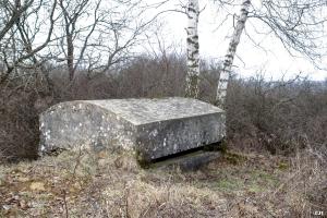 Ligne Maginot - CÔTE 311 - (Observatoire d'infanterie) - 