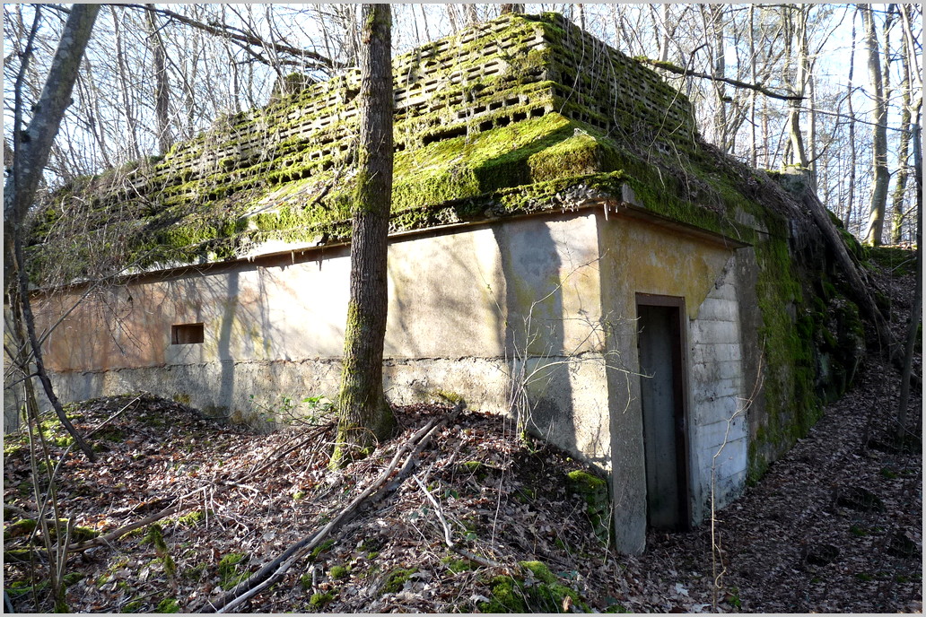 Ligne Maginot - KESKASTEL (51°RMIC) - (PC de Sous-Secteur) - 