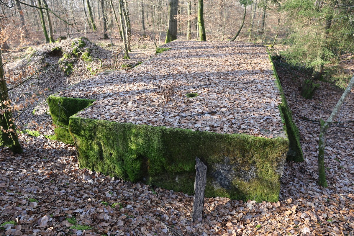 Ligne Maginot - WEIHERHECK - (Abri) - 