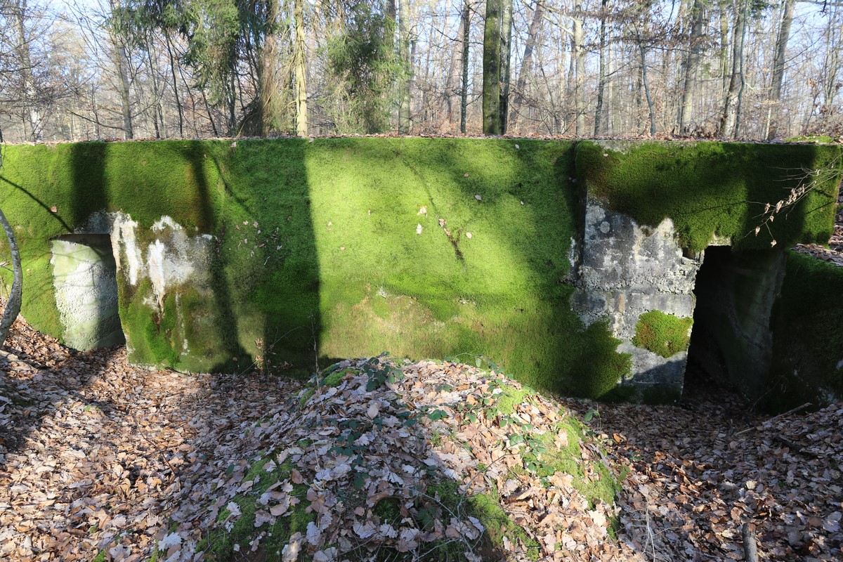 Ligne Maginot - WEIHERHECK - (Abri) - Façade à 2 entrées