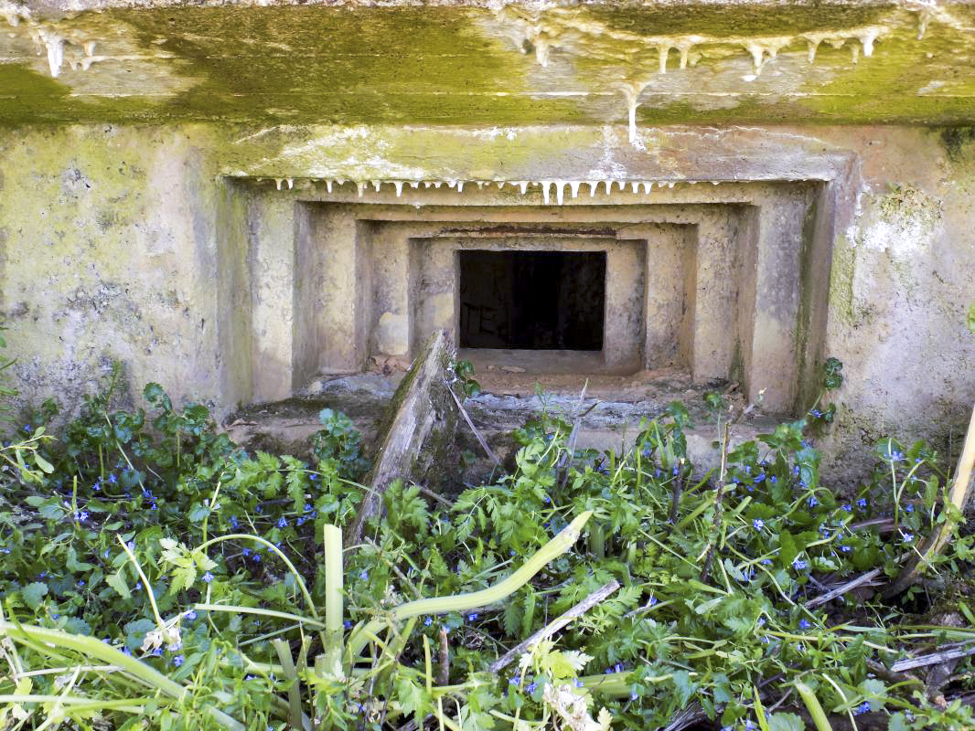 Ligne Maginot - 12C - MONT DE BRUNE NORD - (Blockhaus pour arme infanterie) - Créneau face gauche