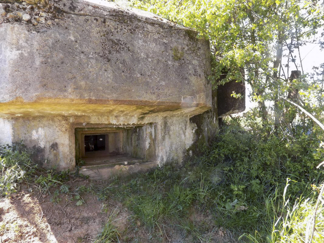 Ligne Maginot - 12C - MONT DE BRUNE NORD - (Blockhaus pour arme infanterie) - Face centrale