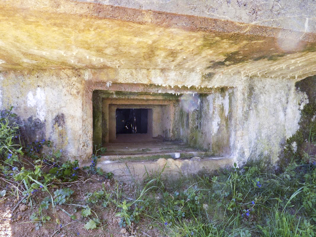 Ligne Maginot - 12C - MONT DE BRUNE NORD - (Blockhaus pour arme infanterie) - Créneau, face centrale