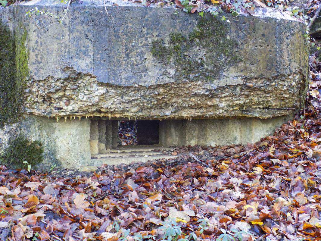 Ligne Maginot - 13A - BOIS DE BLANCHAMPAGNE EST - (Blockhaus pour arme infanterie) - Face gauche, créneau Hotchkiss