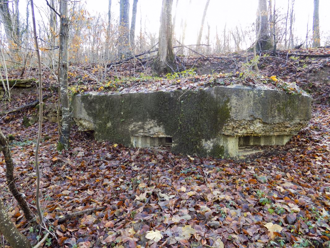 Ligne Maginot - 13A - BOIS DE BLANCHAMPAGNE EST - (Blockhaus pour arme infanterie) - Faces frontale et gauche