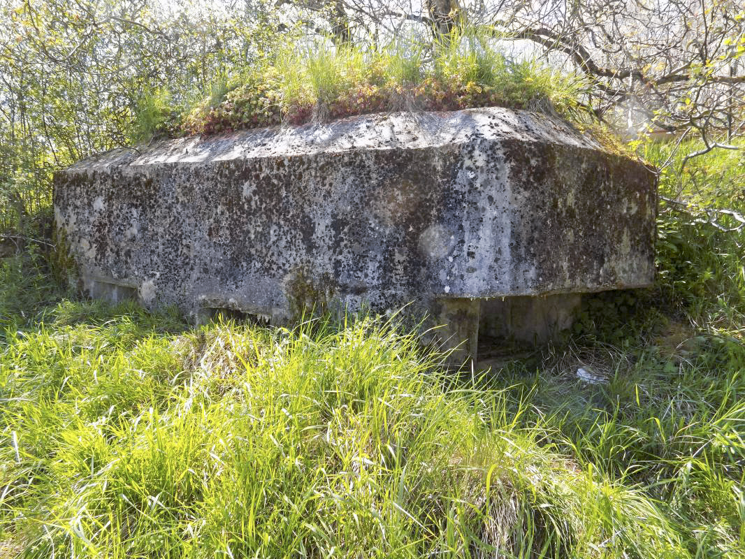 Ligne Maginot - 13C - MONT DE BRUNE SUD - (Blockhaus pour arme infanterie) - Faces frontale et gauche