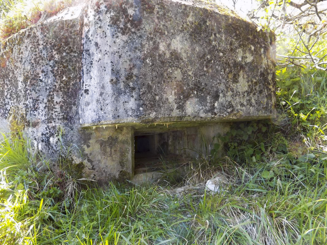 Ligne Maginot - 13C - MONT DE BRUNE SUD - (Blockhaus pour arme infanterie) - Face gauche