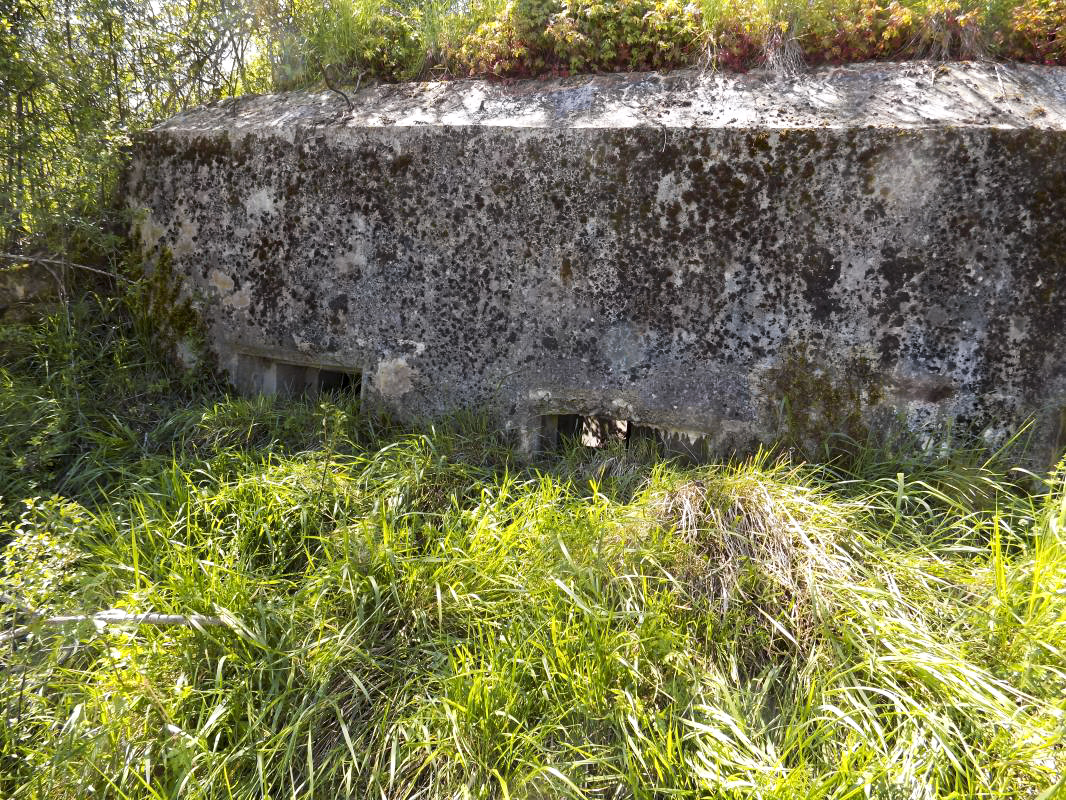 Ligne Maginot - 13C - MONT DE BRUNE SUD - (Blockhaus pour arme infanterie) - Face frontale