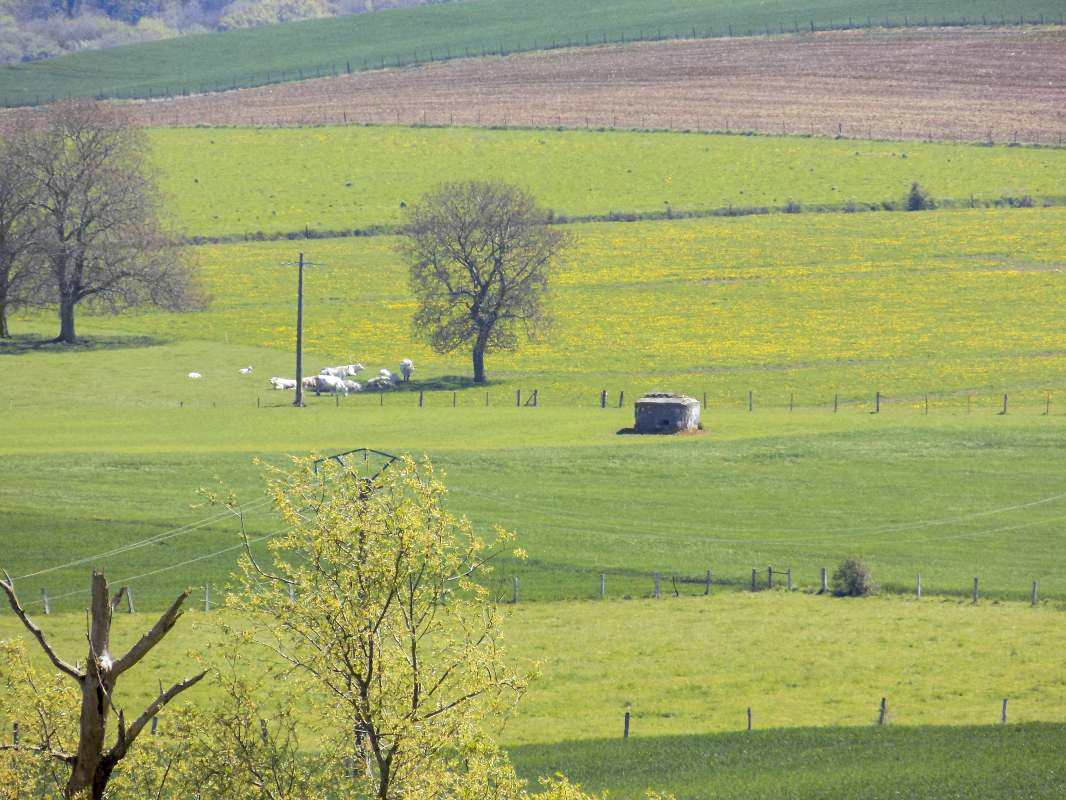 Ligne Maginot - 13C - MONT DE BRUNE SUD - (Blockhaus pour arme infanterie) - Vue vers le sud-est, B14-C