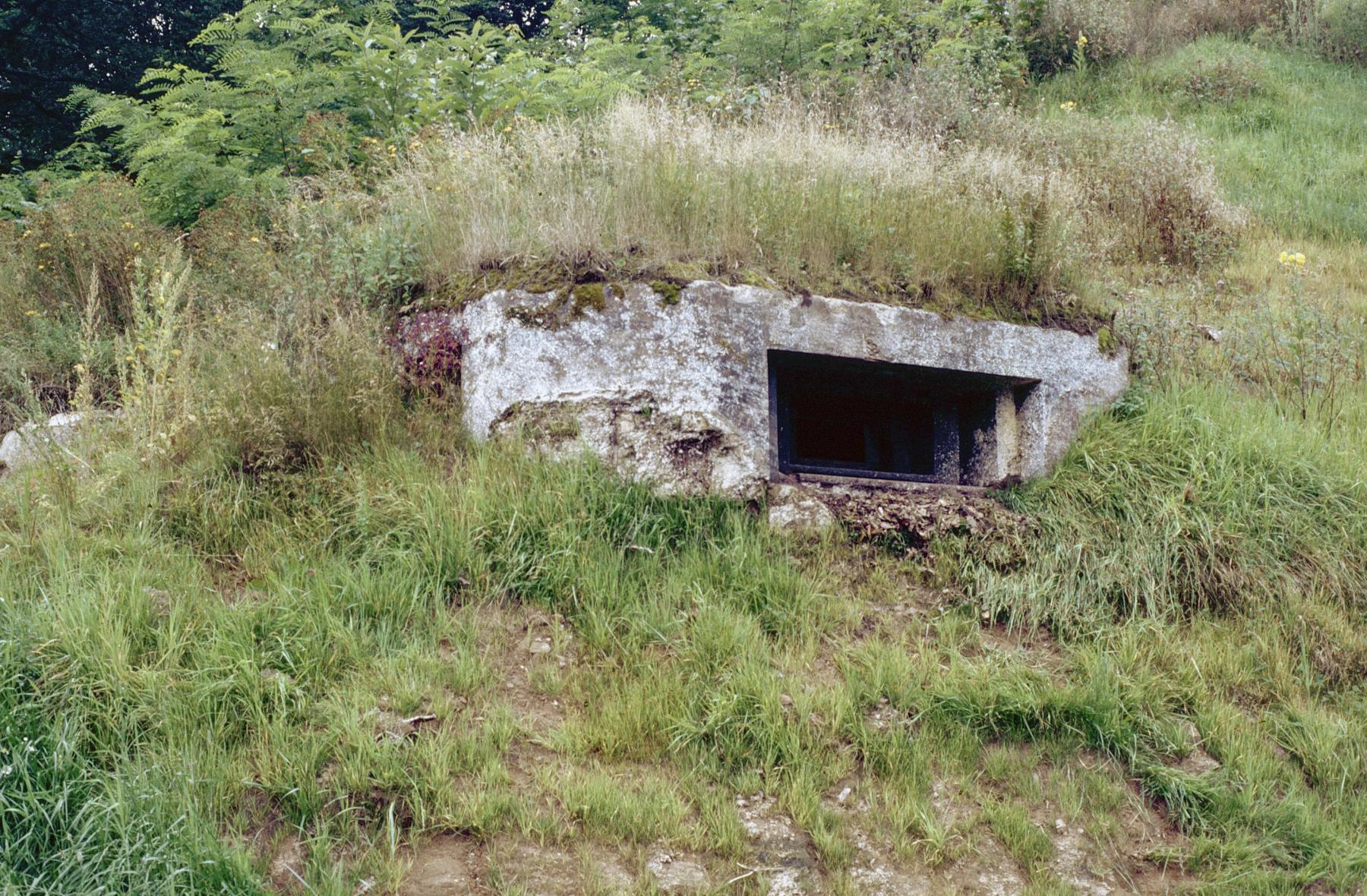 Ligne Maginot - GALGENBERG EST - (Blockhaus pour arme infanterie) - 