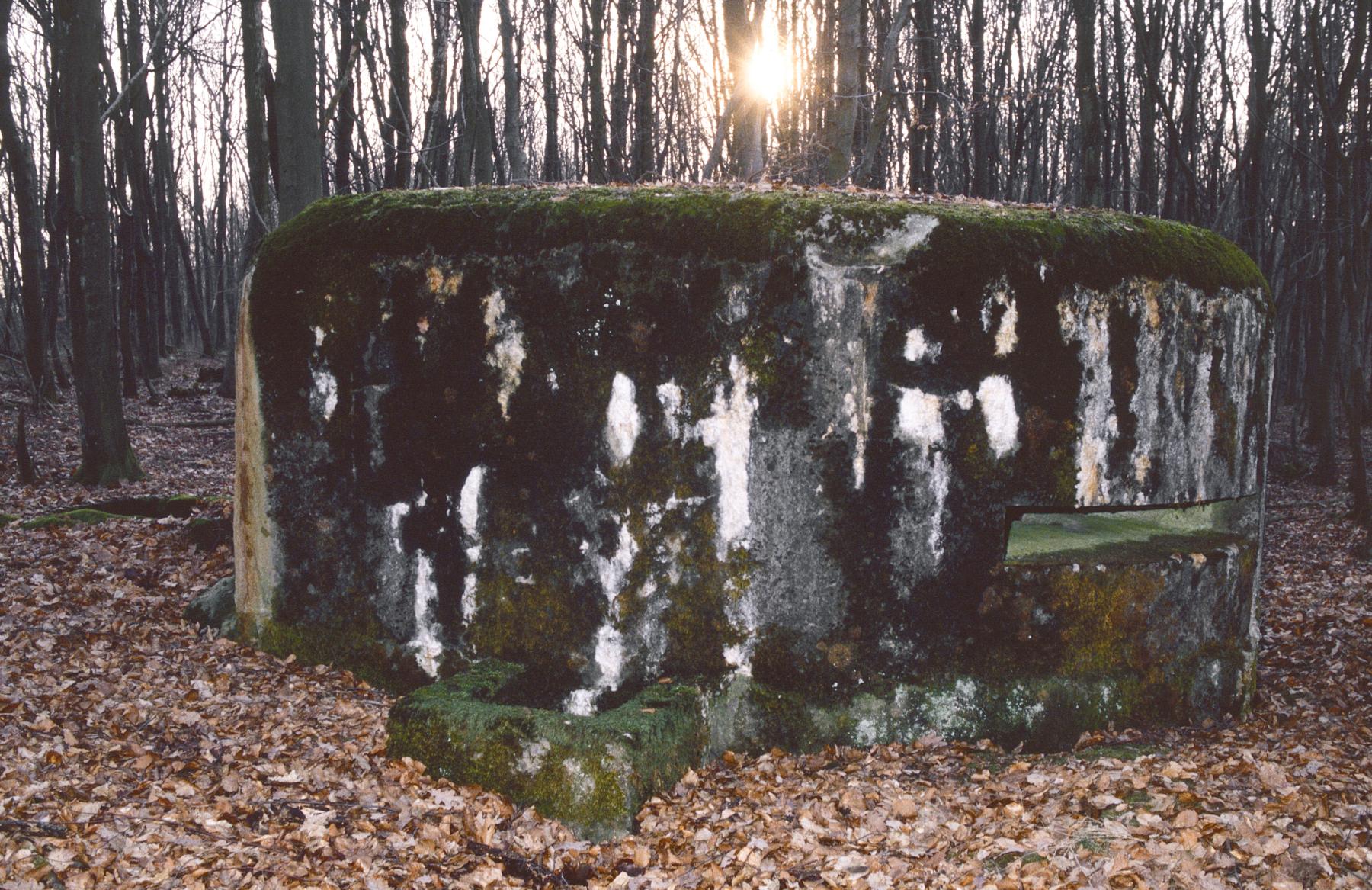 Ligne Maginot - HELLENWALD 5 - (Observatoire d'infanterie) - 