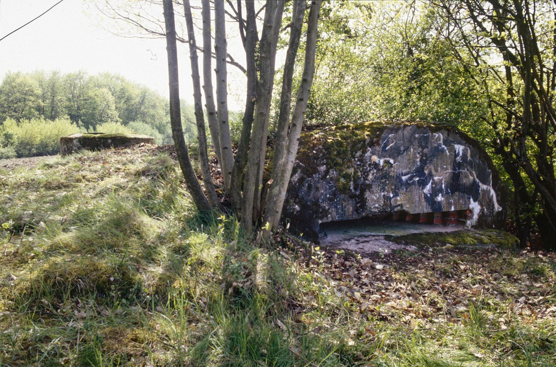 Ligne Maginot - PFAFFENBUSCH 1 - (Observatoire d'infanterie) - 