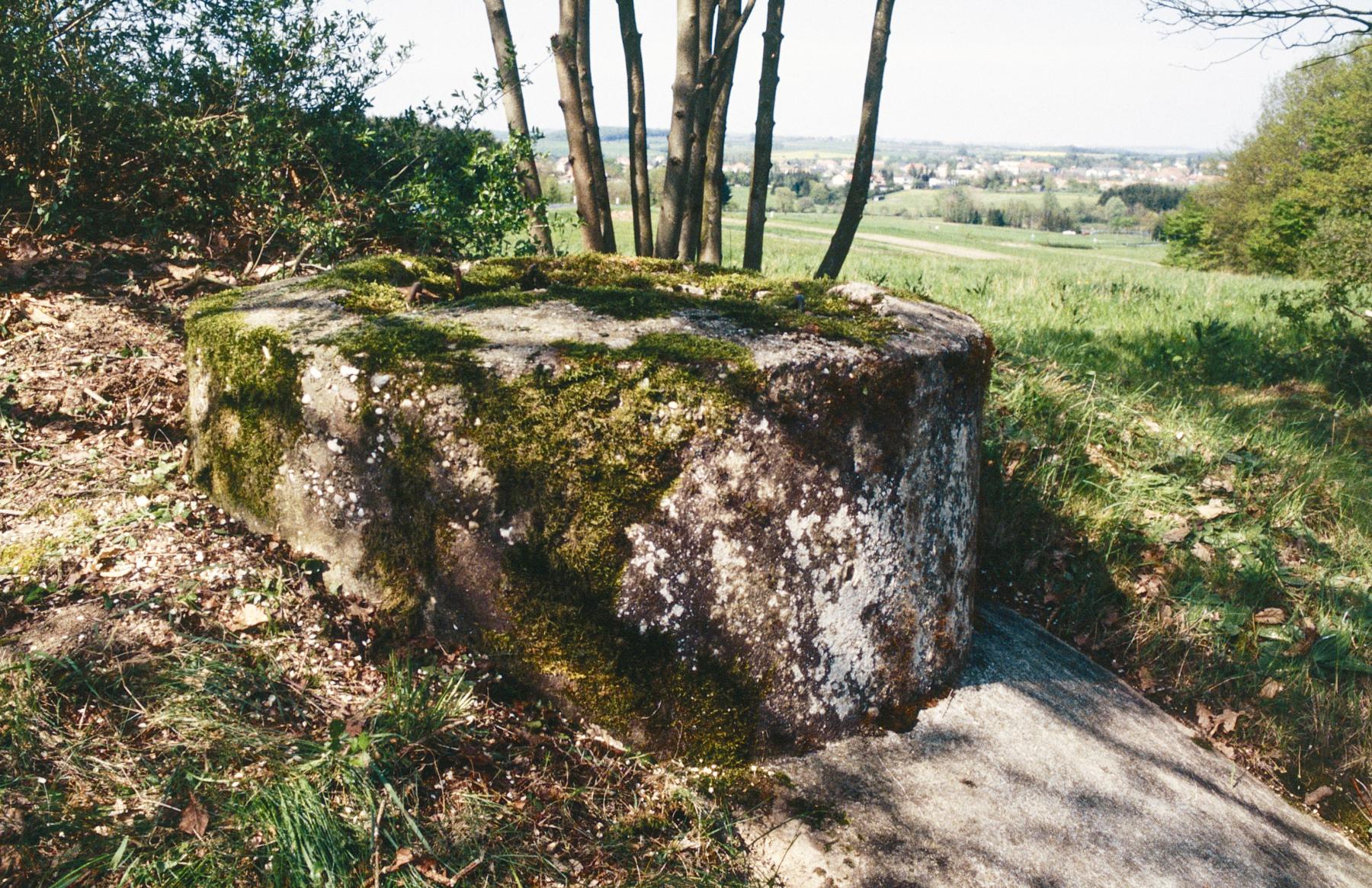 Ligne Maginot - PFAFFENBUSCH 1 - (Observatoire d'infanterie) - La base de la guérite