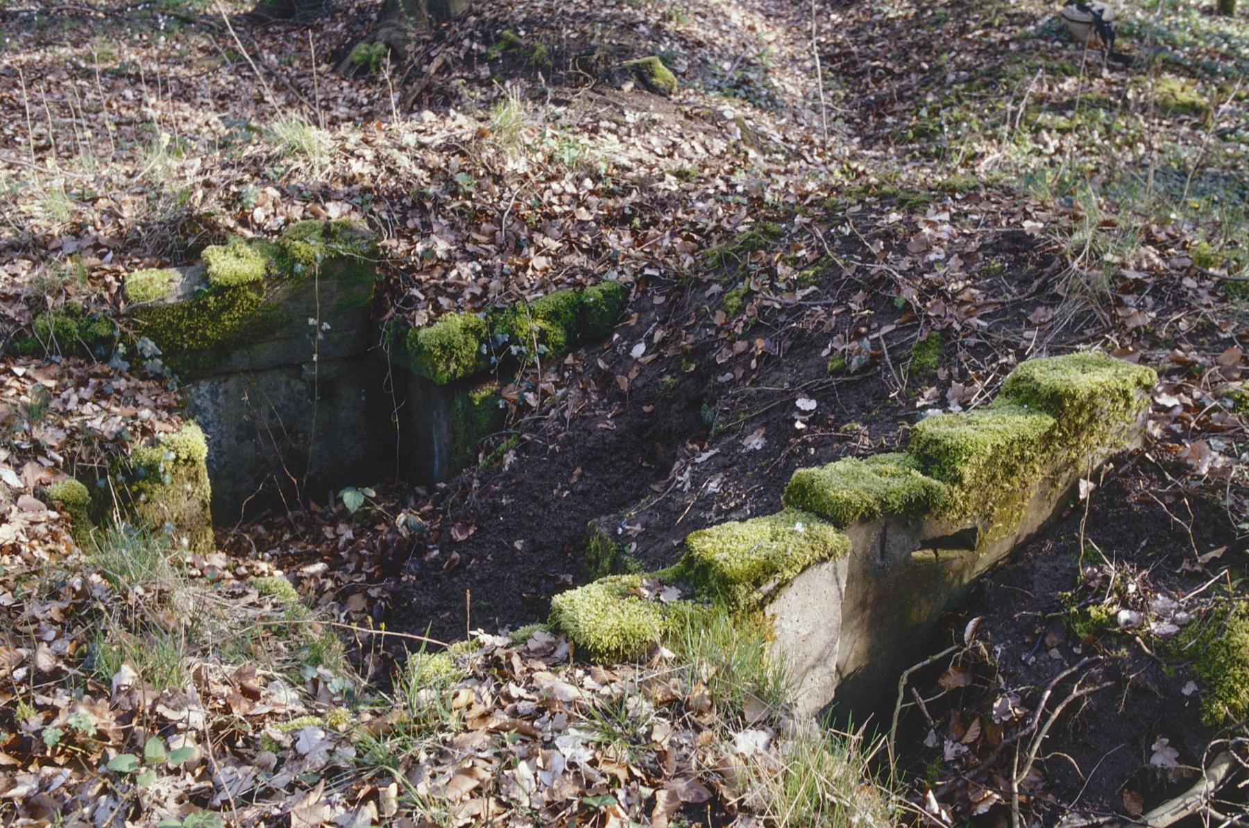 Ligne Maginot - PFAFFENBUSCH 2BIS - (Blockhaus de type indéterminé) - 