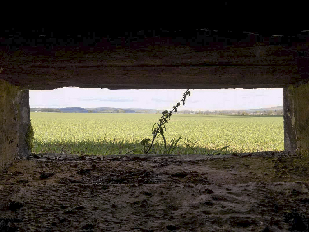 Ligne Maginot - 15C - FOND D'YVAUX EST - (Blockhaus pour arme infanterie) - Vue du créneau Hotchkiss gauche