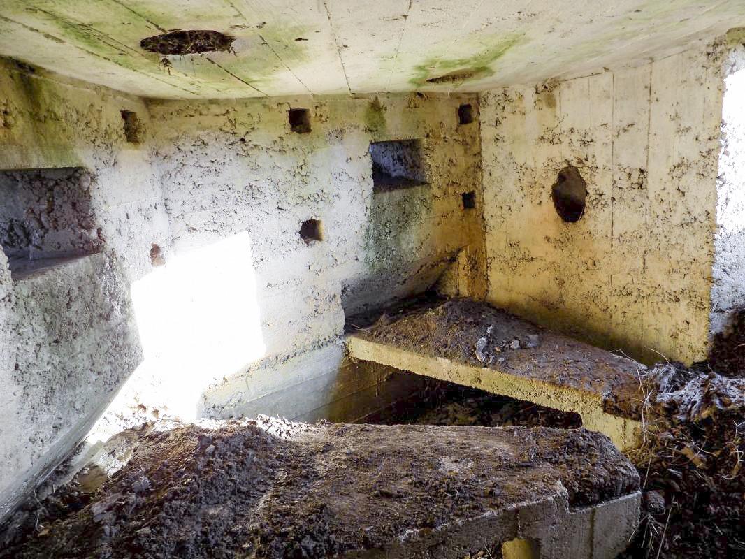 Ligne Maginot - 24B - LA HOUILLERIE - (Blockhaus pour arme infanterie) - Les deux créneaux Hotchkiss