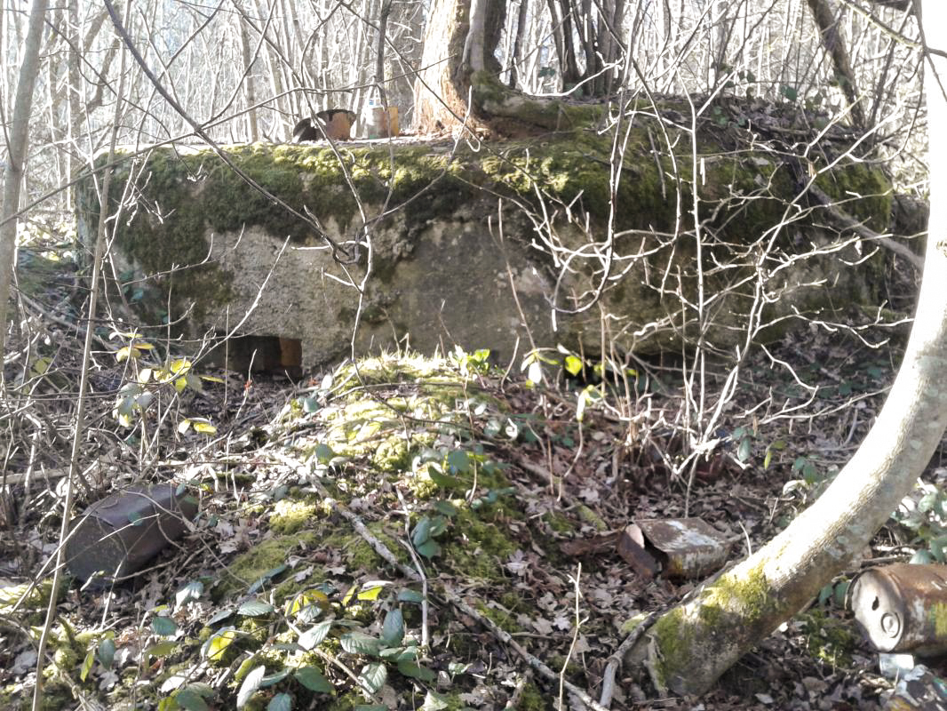 Ligne Maginot - 26B - BOIS DE LA MANSEAU - (Blockhaus pour arme infanterie) - Vue extérieure des deux créneaux pour mitrailleuses.