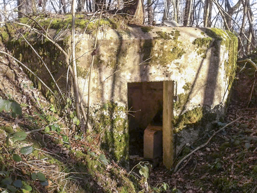 Ligne Maginot - 26B - BOIS DE LA MANSEAU - (Blockhaus pour arme infanterie) - L'entrée, raccordée à une tranchée d'accès encore bien marquée.