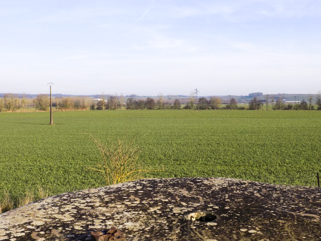 Ligne Maginot - 26D - GRAND HOUBLON - (Blockhaus pour canon) - Vue vers le nord est, direction de tir