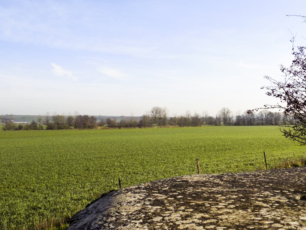 Ligne Maginot - 26D - GRAND HOUBLON - (Blockhaus pour canon) - Vue vers le sud est, direction de tir