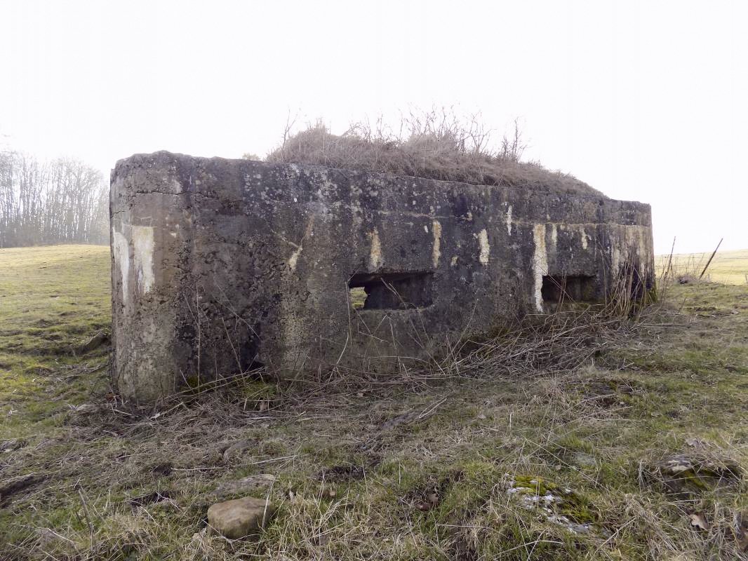 Ligne Maginot - 29A - LES BAUCHES SUD - (Blockhaus pour arme infanterie) - Face frontale