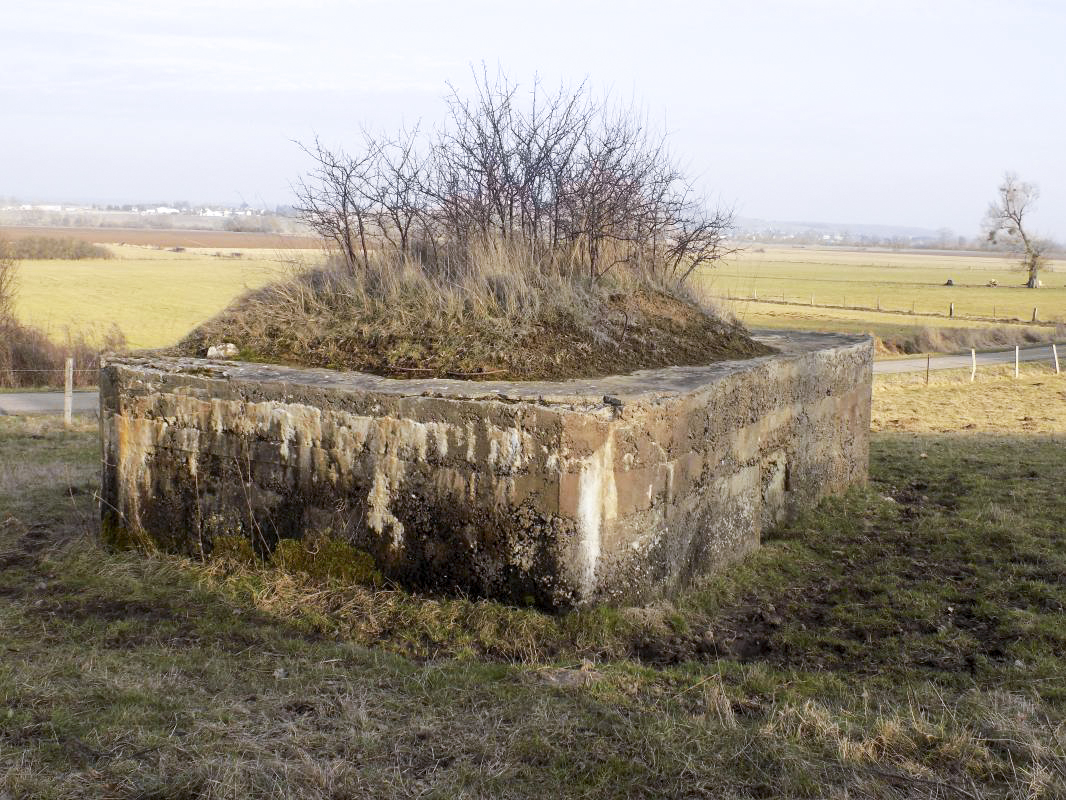 Ligne Maginot - 29A - LES BAUCHES SUD - (Blockhaus pour arme infanterie) - Face gauche