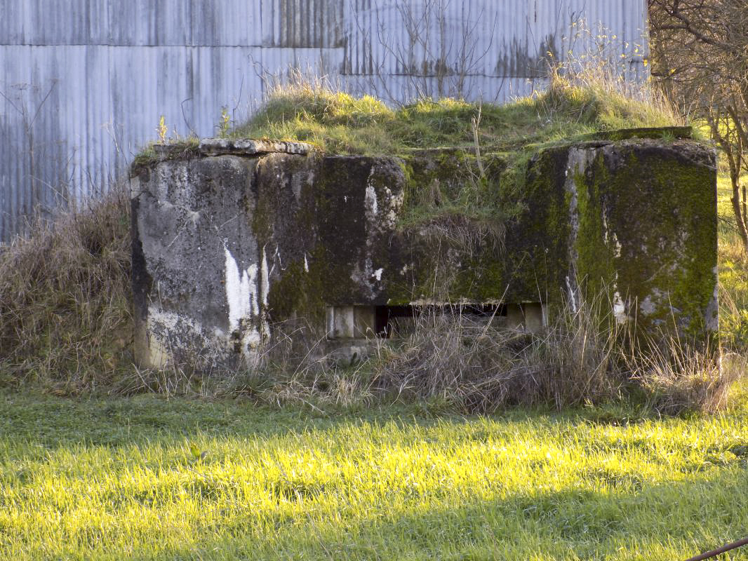 Ligne Maginot - MAIRY CENTRE - (Blockhaus pour canon) - Face frontale