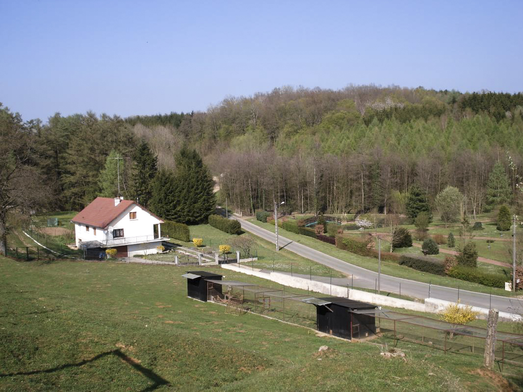 Ligne Maginot - MF19 - V - LA DOUANE - (Poste GRM - Maison Forte) - Vue vers le nord-est