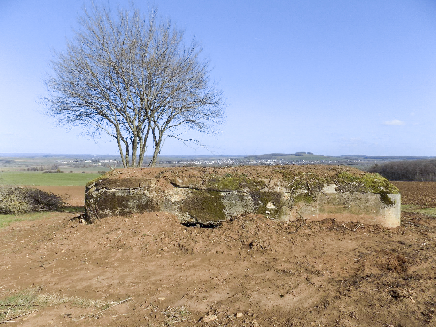 Ligne Maginot - N - LE RETAY - (Blockhaus pour canon) - Face l'arrière: Vue de tir face frontale, canon AC et Hotchkiss vers Carignan et Mont Tilleul