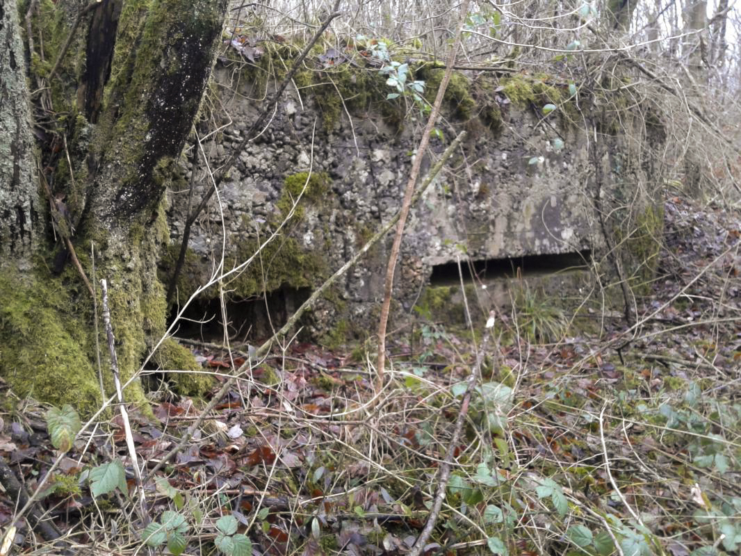 Ligne Maginot - O3 - LA TRUCHE - (Observatoire indéterminé) - Vue des deux créneaux frontaux.