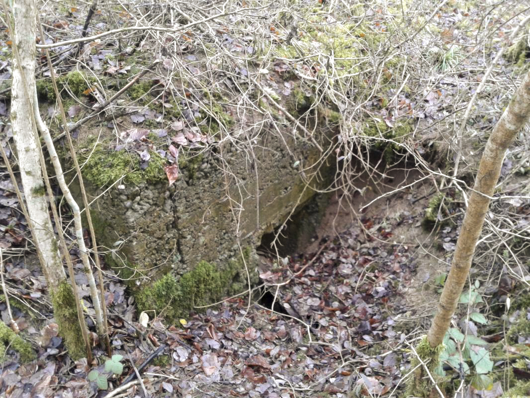 Ligne Maginot - O3 - LA TRUCHE - (Observatoire indéterminé) - Accès par l'arrière.