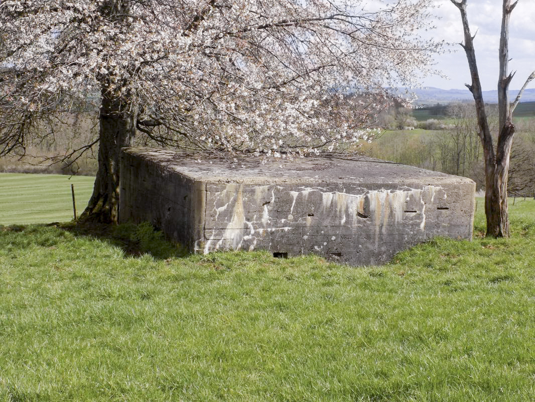 Ligne Maginot - VAUX LèS MOUZON NORD - (Blockhaus pour canon) - Face gauche et l'arrière