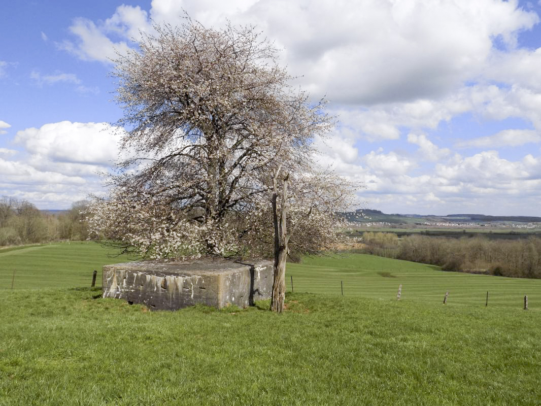 Ligne Maginot - VAUX LèS MOUZON NORD - (Blockhaus pour canon) - 